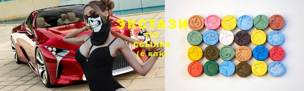 ECSTASY Богородск
