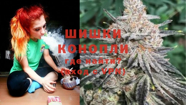 трава Богородицк