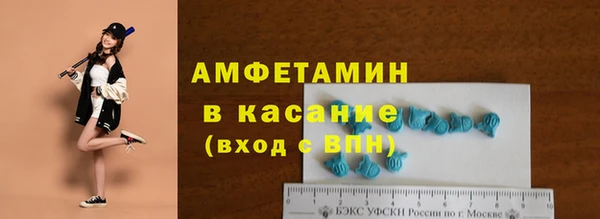 трава Богородицк
