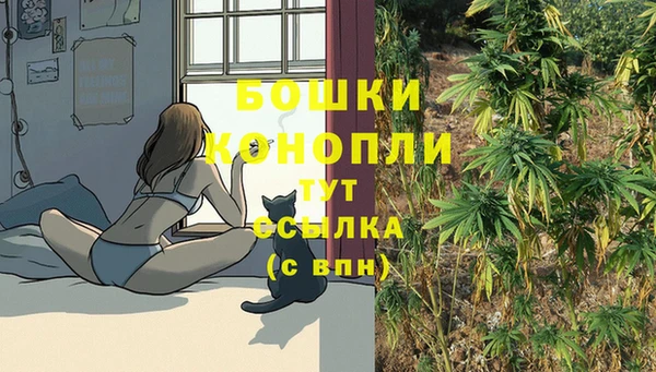 ECSTASY Богородск