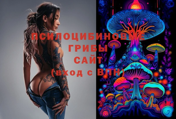 трава Богородицк