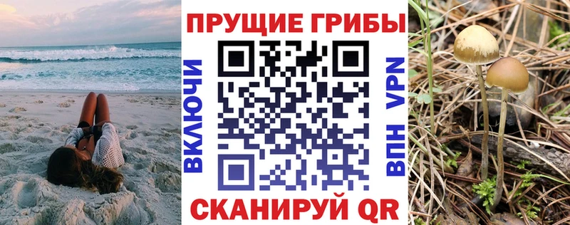 Псилоцибиновые грибы прущие грибы Дудинка